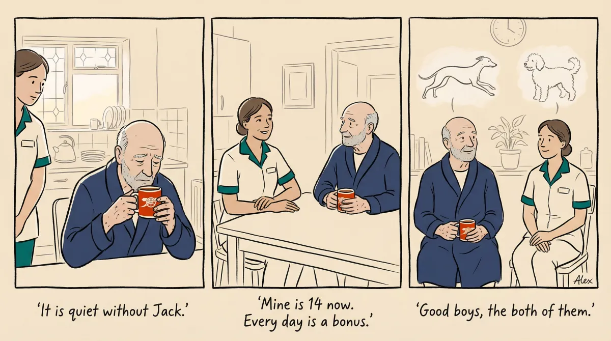 Jack's memorial comic strip